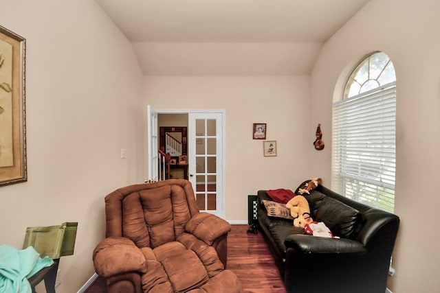 living room with french doors, lofted ceiling, dark hardwood / wood-style floors, and a wealth of natural light