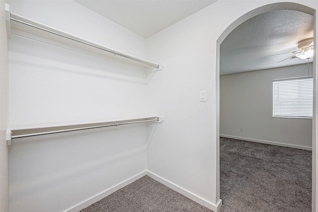 walk in closet with ceiling fan and dark carpet