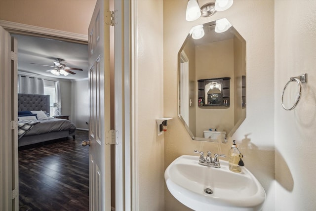 bathroom with hardwood / wood-style flooring, ceiling fan, and sink