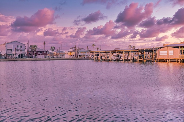 water view featuring a boat dock