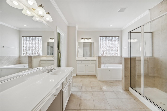 bathroom with crown molding, a healthy amount of sunlight, and vanity