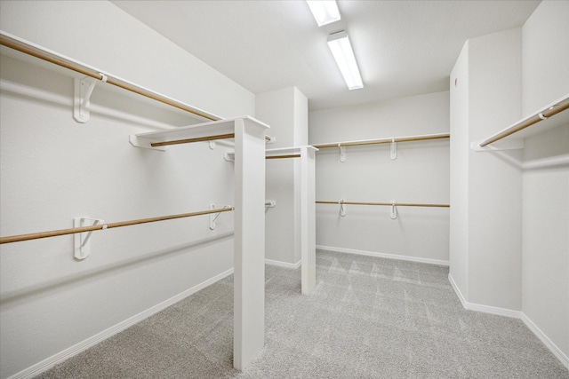 spacious closet featuring light colored carpet