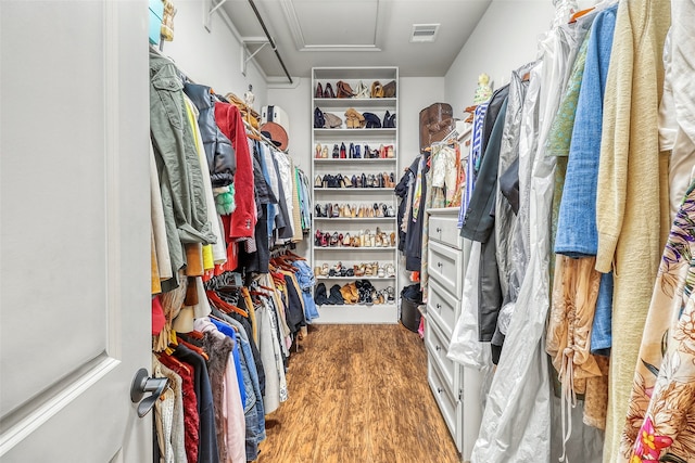 walk in closet featuring wood-type flooring