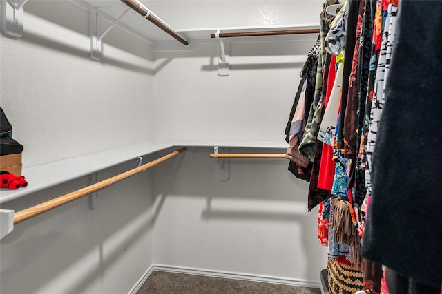 spacious closet with carpet