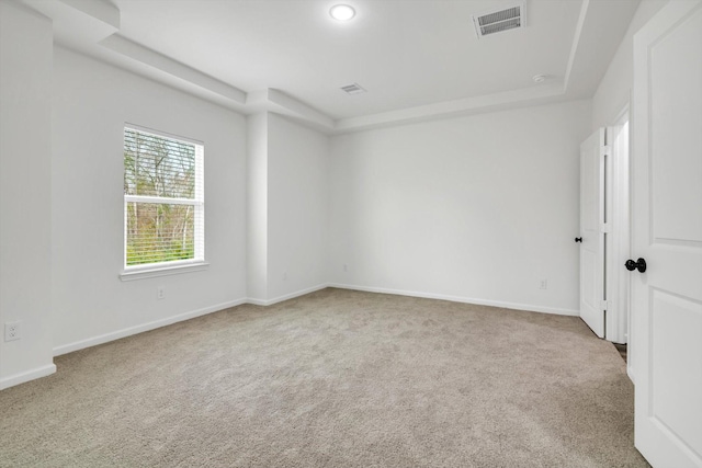 113 County Road 645, Kenefick, TX 77535 - unfurnished room with a raised ceiling and light carpet
