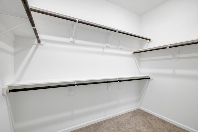 113 County Road 645, Kenefick, TX 77535 - walk in closet featuring carpet floors