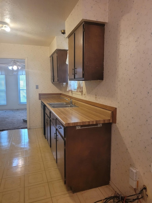 kitchen featuring sink, ceiling fan, dark brown cabinets, a textured ceiling, and stainless steel dishwasher