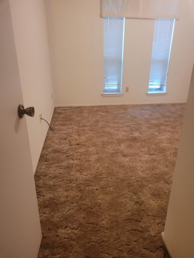 spare room featuring carpet floors