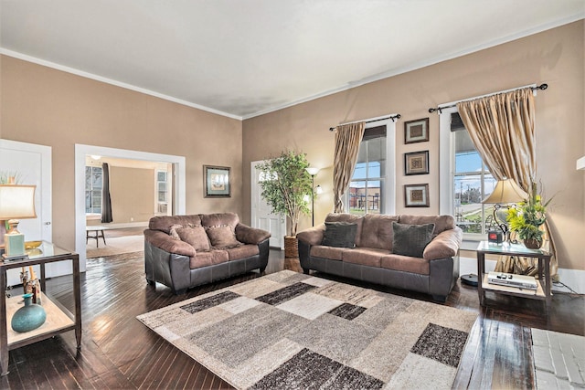 living room with dark hardwood / wood-style flooring and ornamental molding