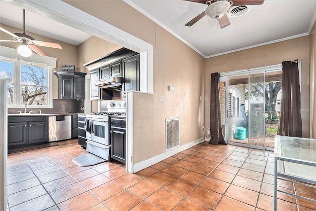 kitchen with dishwasher, sink, a wealth of natural light, and white gas range oven