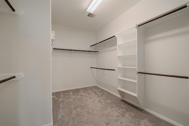 walk in closet with light colored carpet