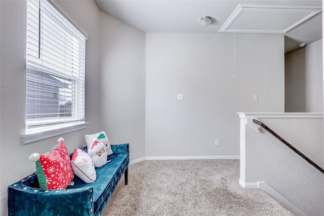 living area with carpet flooring