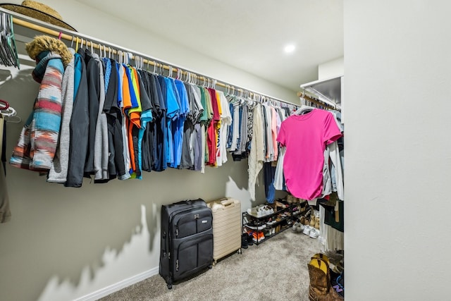 spacious closet with carpet