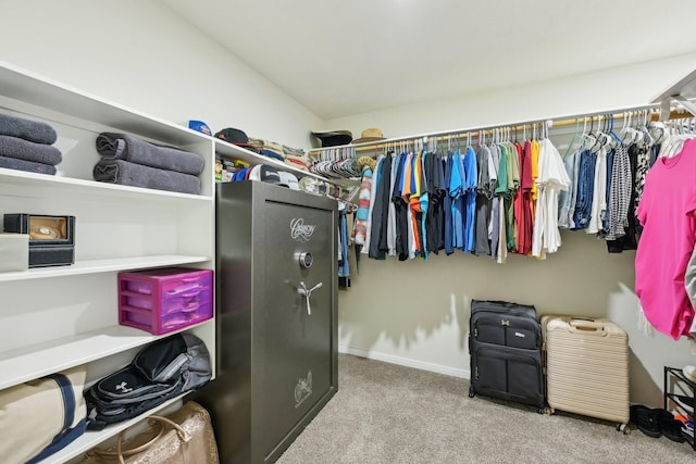 spacious closet with light colored carpet