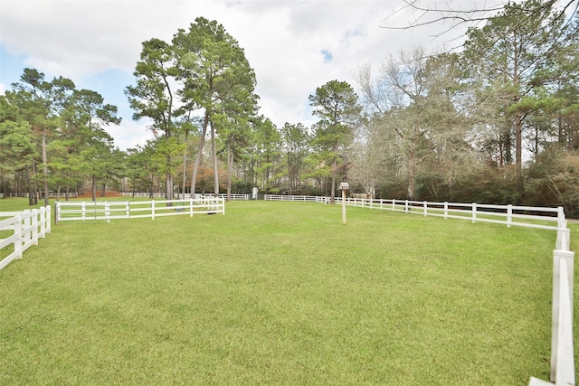 7514 Saddle Blanket Dr, Waller, TX 77484 - view of yard