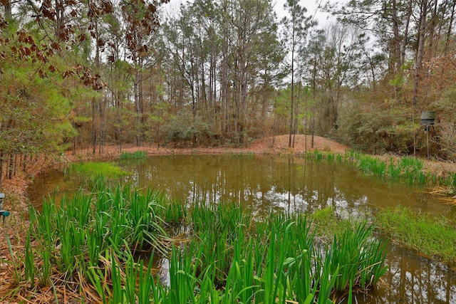 7514 Saddle Blanket Dr, Waller, TX 77484 - water view