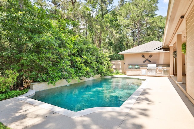 7514 Saddle Blanket Dr, Waller, TX 77484 - outdoor pool with area for grilling, a patio area, and a grill