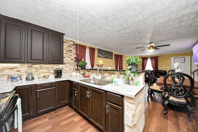 kitchen with a peninsula, light wood-style flooring, and a sink