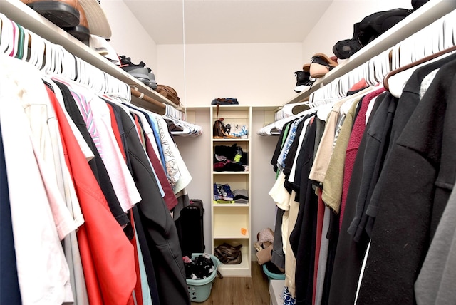 walk in closet with hardwood / wood-style flooring