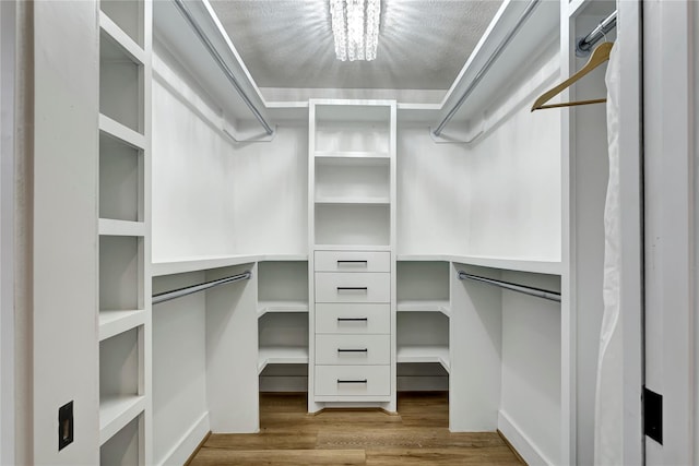 spacious closet featuring light hardwood / wood-style flooring