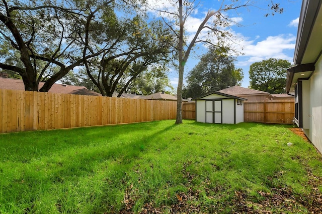 view of yard with a shed