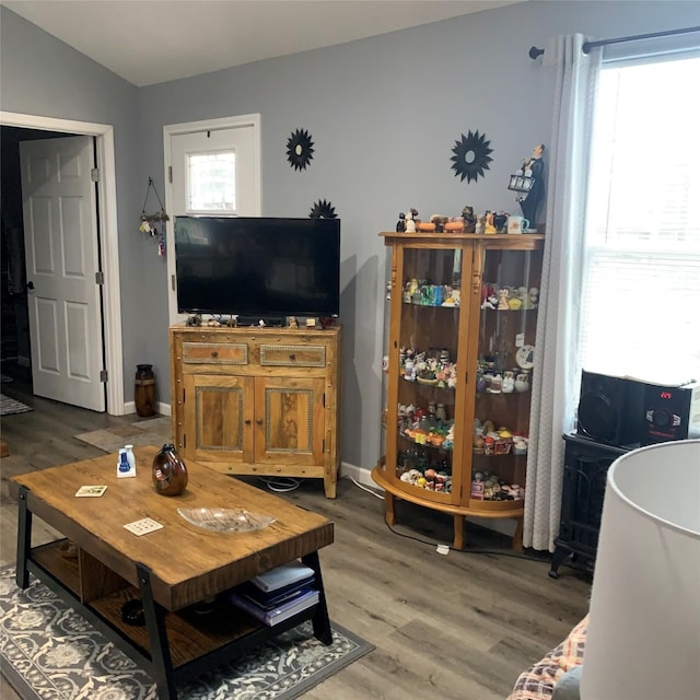 living room featuring hardwood / wood-style flooring and lofted ceiling