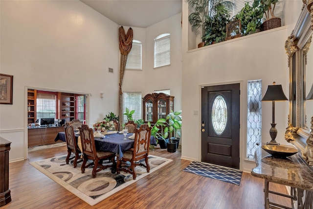 foyer entrance featuring plenty of natural light and dark hardwood / wood-style flooring