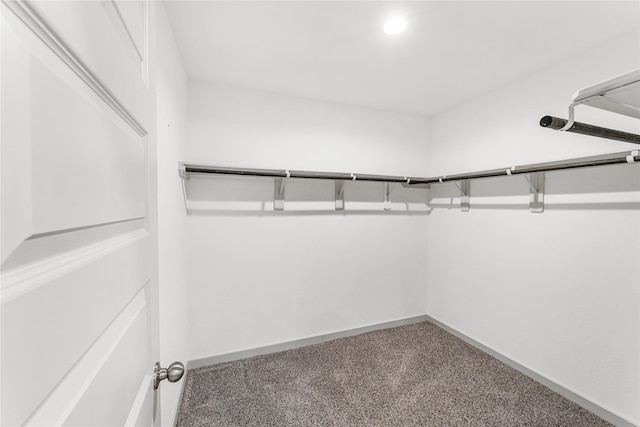 walk in closet featuring carpet floors