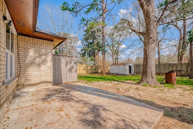 view of yard with a patio and a storage unit