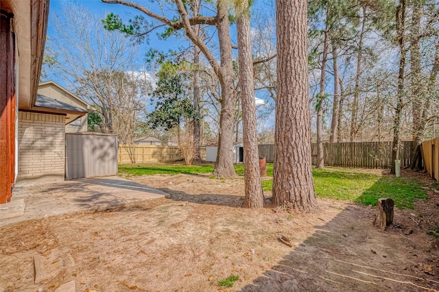 view of yard featuring a storage shed