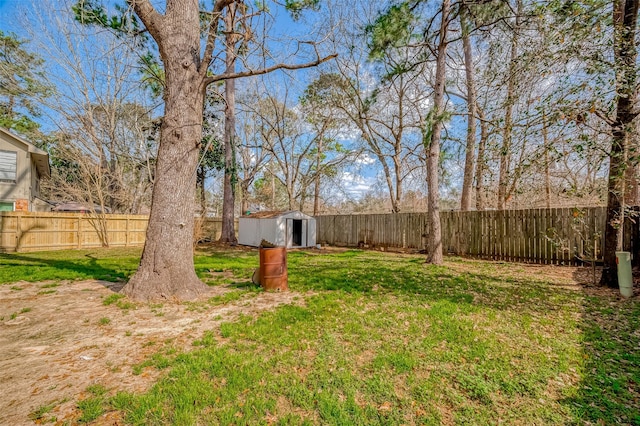 view of yard with a storage unit