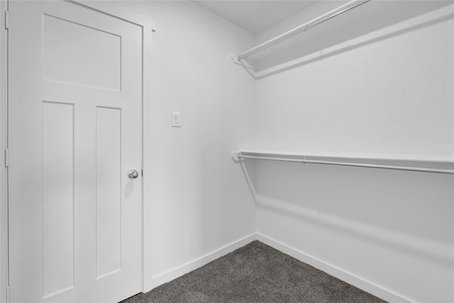 spacious closet featuring carpet flooring