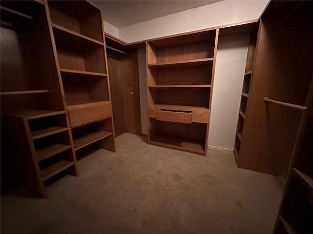 walk in closet featuring light colored carpet