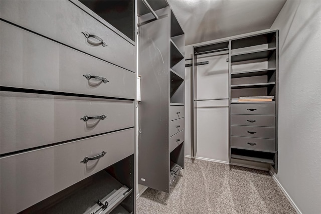 walk in closet featuring carpet floors