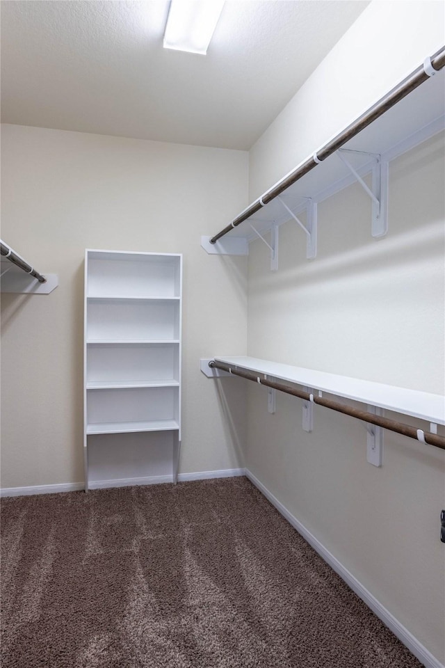 walk in closet with carpet