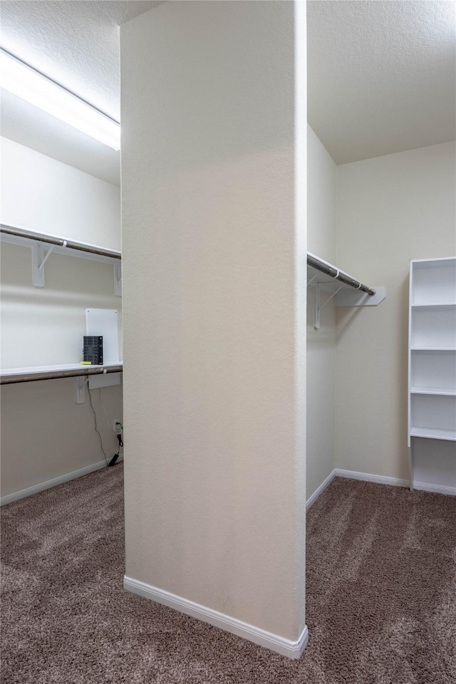 walk in closet featuring carpet floors