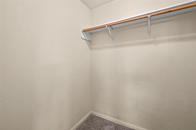 walk in closet featuring carpet flooring