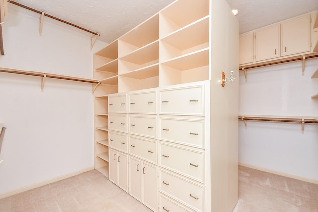 spacious closet featuring light colored carpet