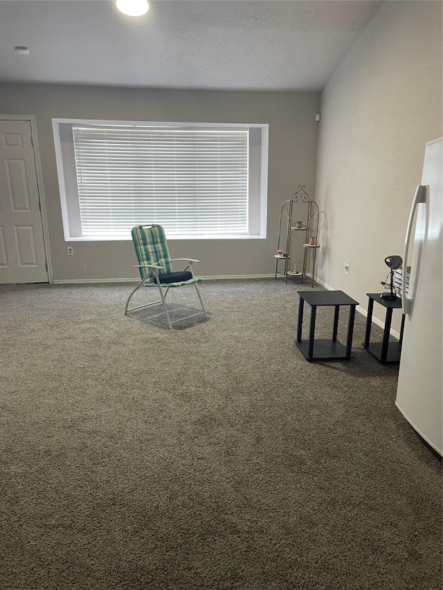 living area with a healthy amount of sunlight, carpet flooring, and a textured ceiling