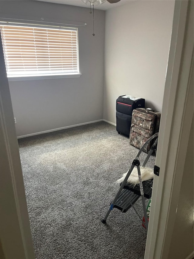 interior space with ceiling fan and carpet