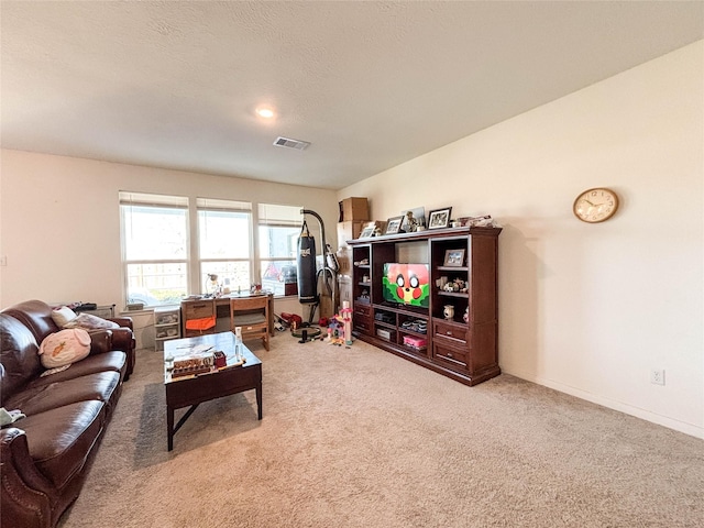 living room featuring carpet floors and a textured ceiling