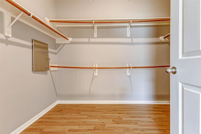 spacious closet featuring light wood-type flooring