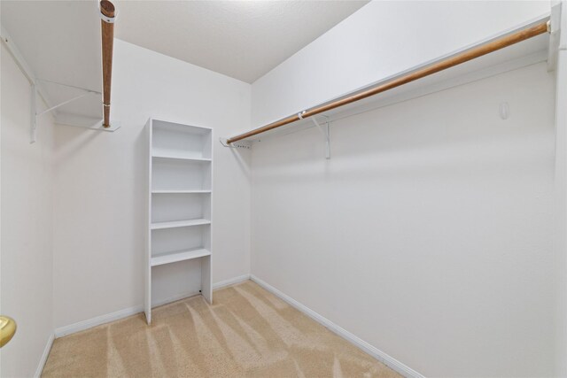 walk in closet with light carpet