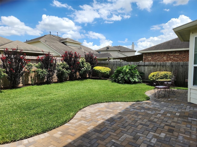 view of yard featuring a patio area