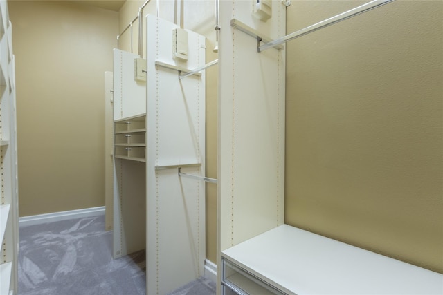 walk in closet with carpet floors