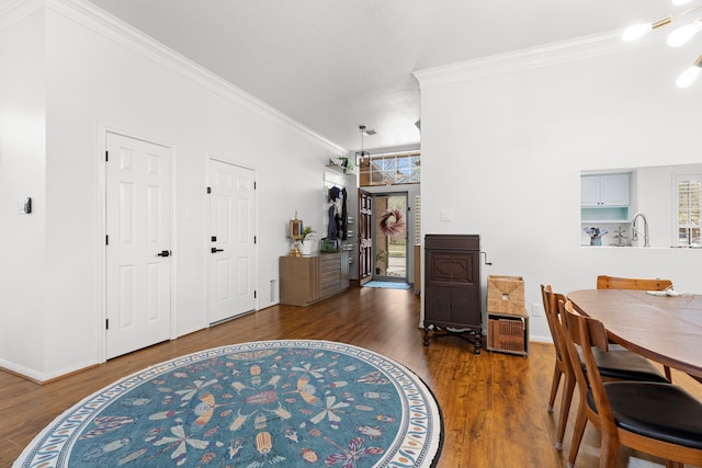 interior space with multiple closets, crown molding, sink, and dark hardwood / wood-style flooring