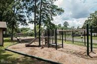 view of jungle gym