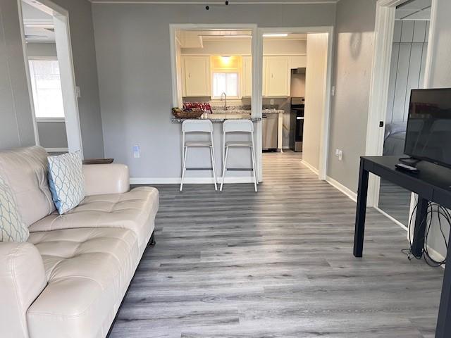 living room with sink and light wood-type flooring