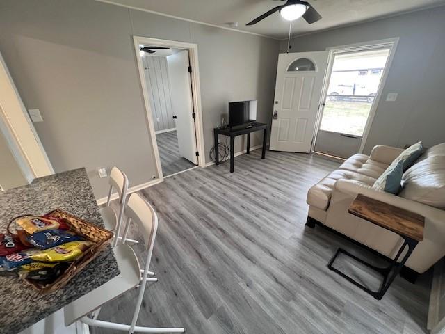 living room featuring ceiling fan and wood-type flooring