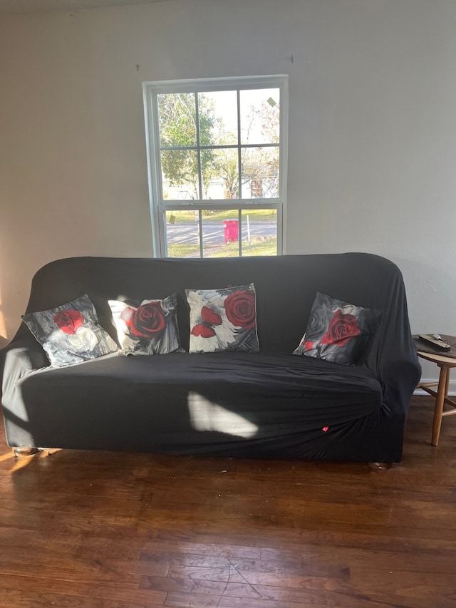 living room featuring wood-type flooring